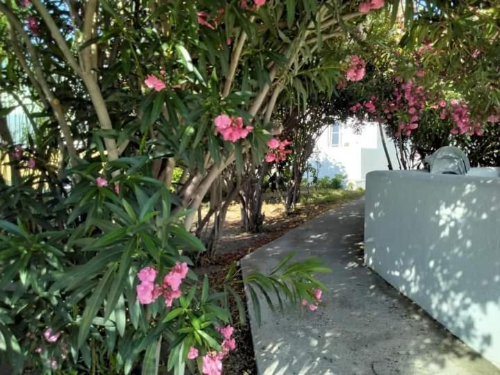 Appartement Fino Megali Ammos (Mykonos)