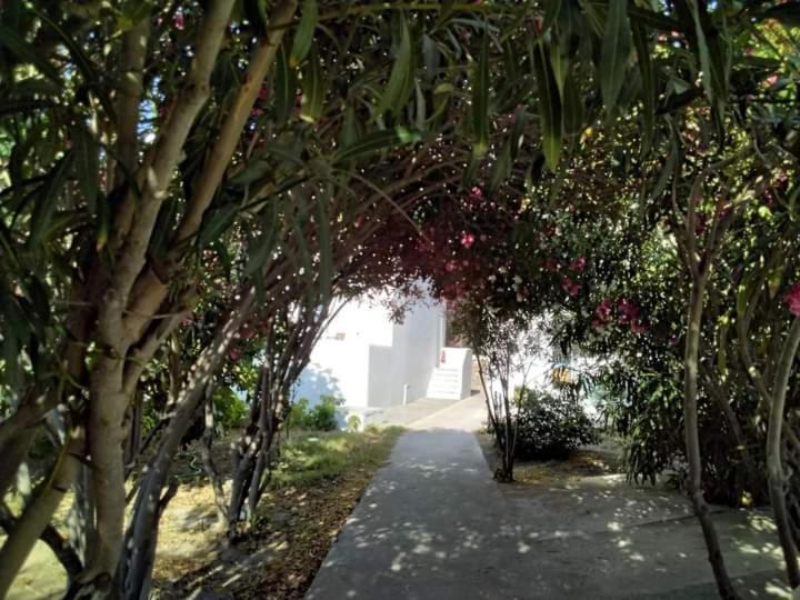 Fino Megali Ammos (Mykonos)
