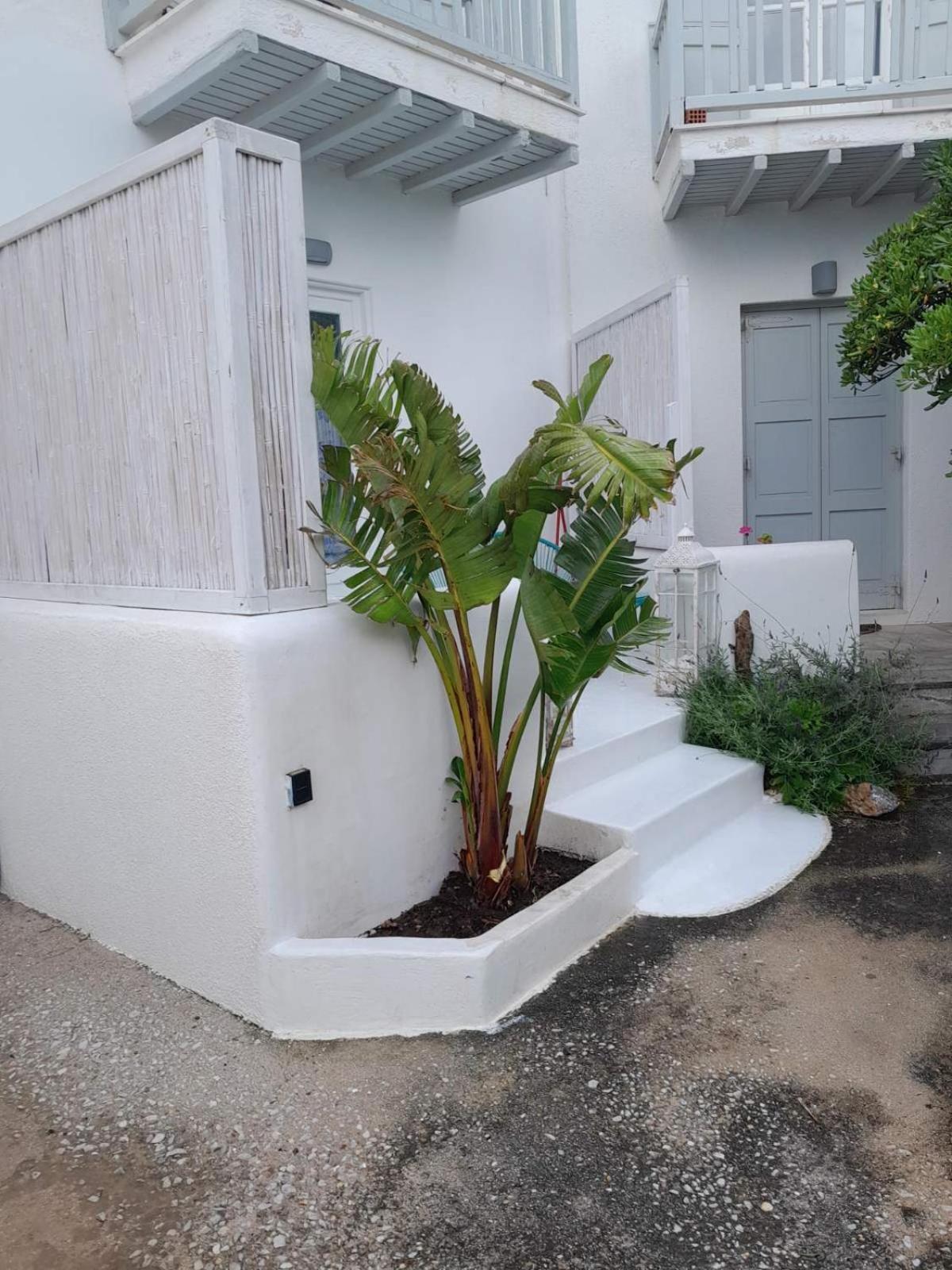 Fino דירה Megali Ammos (Mykonos)