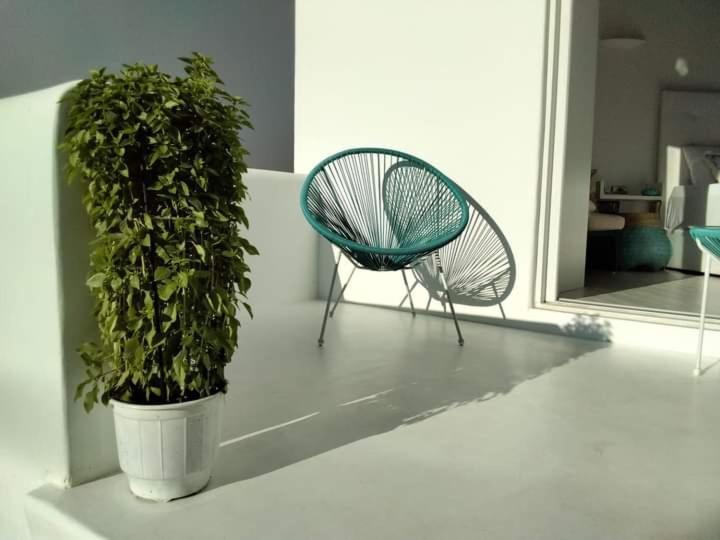Apartament Fino *