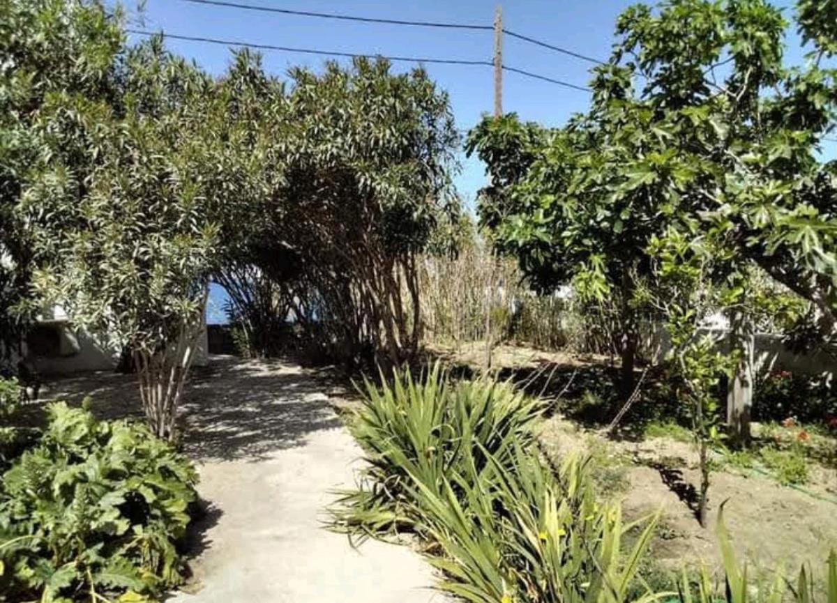 Apartament Fino