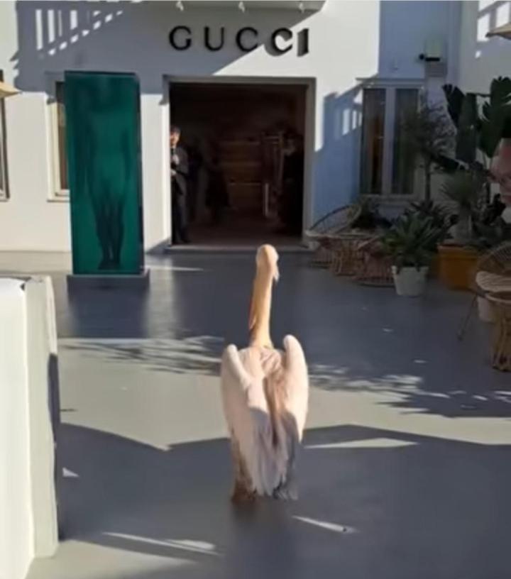 Fino Megali Ammos (Mykonos)